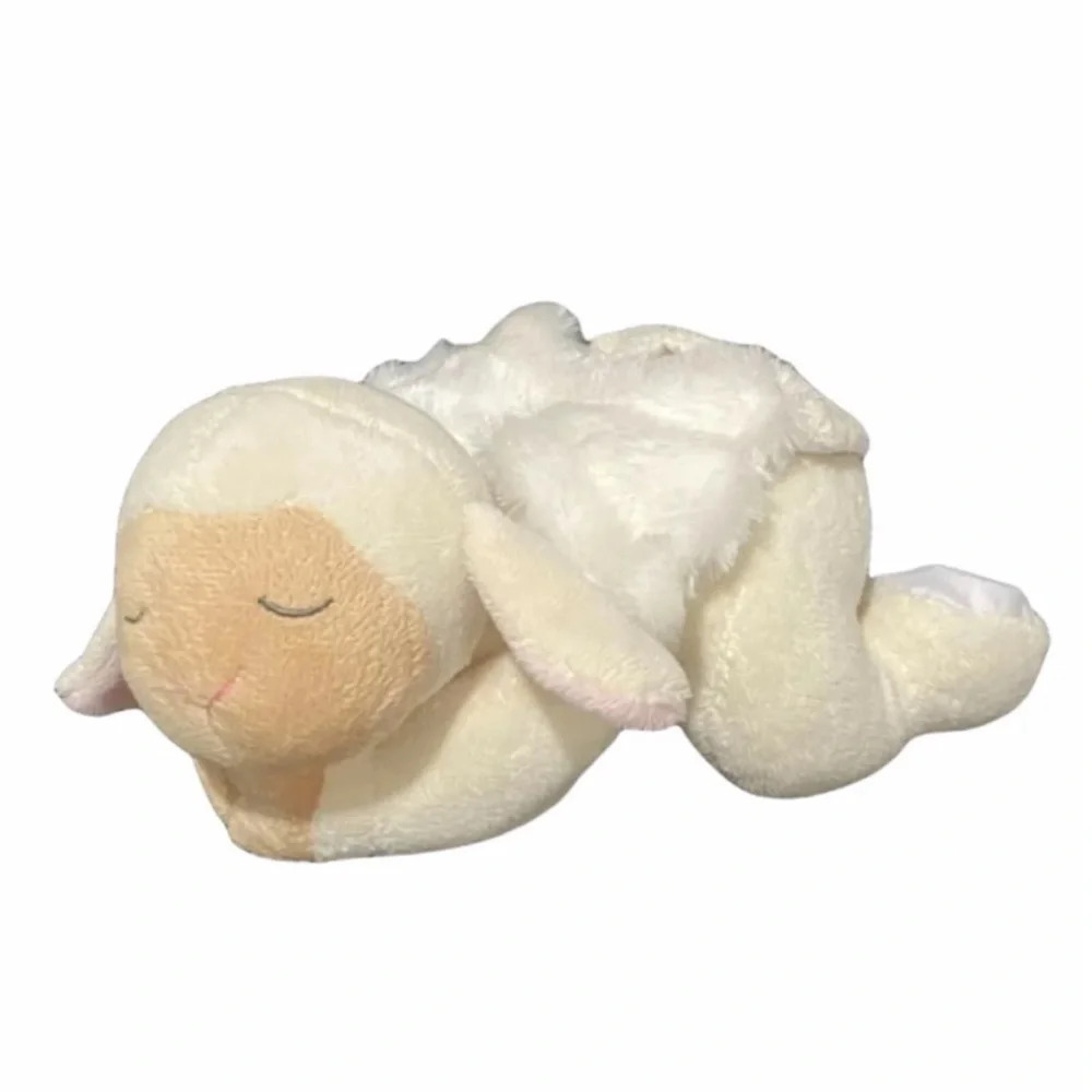 Baby Ganz lamb with wings sleeping plush

Music doesn’t play